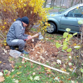 📍Мкр.Цемгигант, Ул.Беркино 1/3  Проводятся работы по выкорчевыванию пней.