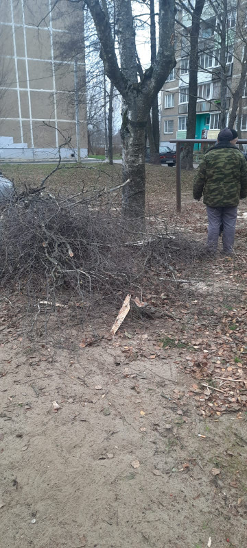 РП.Фосфоритный на улицах Воинской славы, д.2,3,4 и Школьная , д.6 проведены работы по опилке и уборке веток , а также листвы на придворовых территориях.