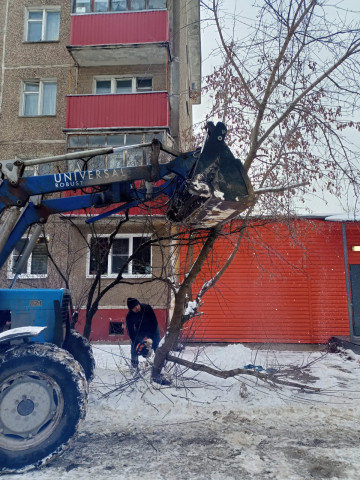 Мкр.Цемгигант, по ул.Коломенская 5 , спилили два аварийных дерева