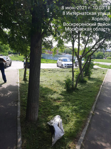 Окос придомовой территории пгт. Хорлово