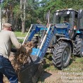 Вывоз порубочных остатков и уборка дворовой территории