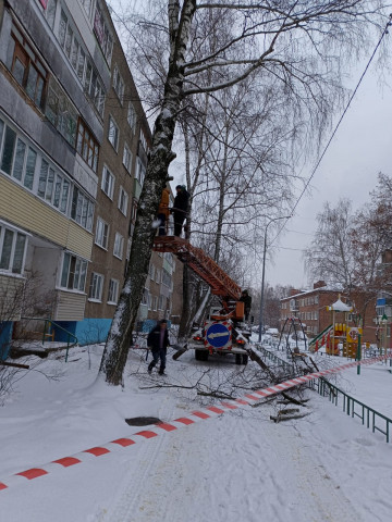 Мкр. Цемгигант - по улице Коломенская 1 спилили аварийную березу