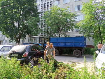 Вывоз порубочных остатков после обрезки кустарника мкр. Цемгигант