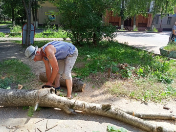 Спилили аварийное дерево по порубочному листу